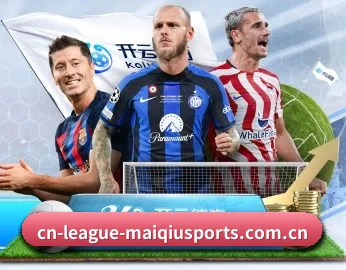 平台愿景与背书