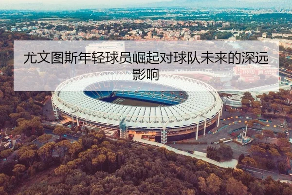 尤文图斯年轻球员崛起对球队未来的深远影响